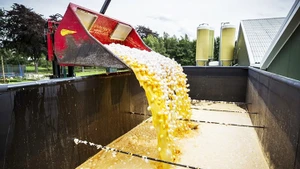 Nhiều lô trứng nhiễm độc trong các trang trại Hà Lan phải mang đi tiêu hủy. Ảnh: EPA