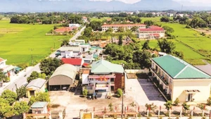 Các mô hình sản xuất nông nghiệp tập trung đã tạo động lực để xã Đầm Hà phát triển bền vững.