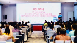 Chương trình nhằm trang bị, cập nhật những kiến thức, kỹ năng về chính sách pháp luật - quan hệ lao động cho đội ngũ cán bộ công đoàn.