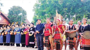 Sắc màu các dân tộc anh em tại huyện Bù Đăng tham dự lễ hội “Vang mãi tiếng chày trên sóc Bom Bo”.