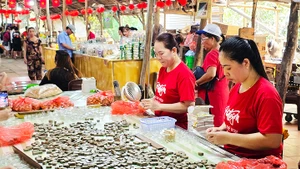 Khu vực kinh tế tư nhân tại Việt Nam vẫn chủ yếu duy trì mô hình từ nhỏ đến siêu nhỏ. Ảnh: NGUYỆT ANH