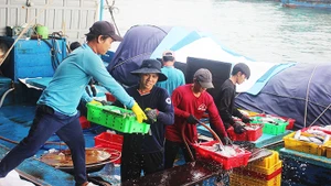 Chuyến bám biển thắng lợi ngày áp Tết.