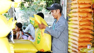 Xuất nhập khẩu 2 tháng đầu năm tăng 12%