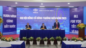 Vimeco phát hành hơn 2,6 triệu cổ phiếu