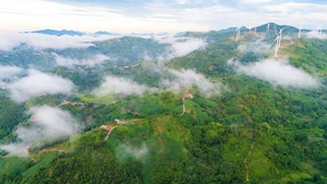 Mùa đông ở Khe Sanh