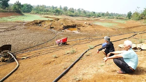 Tháng 3, “mùa máy bơm” hút nước rầm rộ.