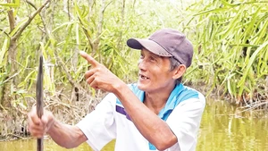 Ông Mai Lam Phương với niềm vui từ vườn thanh long trên vuông tôm của mình. 