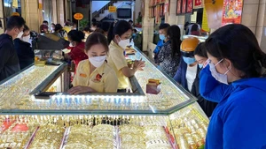Ngân hàng Nhà nước Việt Nam đã có những động thái tích cực khi kịp thời đưa ra phương án chẩn trị "cơn sốt" giá vàng. 