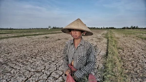 Sau ba năm liên tiếp La Nina, El Nino đang đến gần và có khả năng ở mức cực đoan. Ảnh: Ngọc Dương