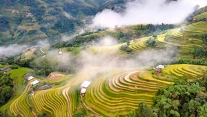 Kiệt tác ruộng bậc thang Hoàng Su Phì. (Ảnh: Tổng cục Du lịch)