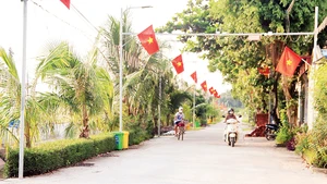 Tuyến đường nông thôn mới tại xã Xuân Khê, huyện Lý Nhân.