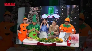 Hoa hậu Thùy Tiên, Hằng Du Mục và Quang Linh Vlogs bán hàng livestream quảng cáo sản phẩm giả. Ảnh: nhandan.vn