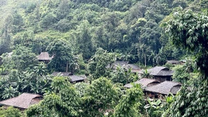 Bản Khuổi Khon hòa mình trong thiên nhiên xanh mát. 