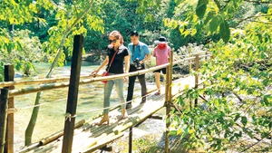 Khách du lịch tản bộ thăm rừng ở xã Trường Sơn, huyện Quảng Ninh.