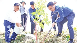 Đại diện lãnh đạo Trung ương Đoàn và tỉnh Long An phát động phong trào trồng hàng cây biên giới.