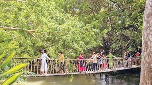 Cầu treo Buôn Đôn được làm bằng tre nứa, bên trong là sợi dây cáp tạo sự an toàn và không làm mất đi cảm giác đung đưa.
