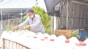 Ông Trương Duẩn chở nước ngọt về cho đàn gà thịt 5.000 con uống.