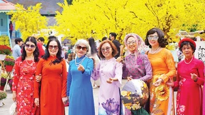 Người cao tuổi tại Thành phố Hồ Chí Minh. (Ảnh THẾ ANH)