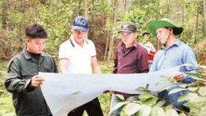 Nhân viên Văn phòng Đăng ký đất đai tỉnh Yên Bái thực hiện nhiệm vụ đo đạc tại thành phố Yên Bái.