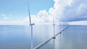 Dự án Điện gió Hòa Bình 1 tỉnh Bạc Liêu cuối năm 2024 thu về hơn 1,8 triệu USD (khoảng 45,6 tỷ đồng) từ tín chỉ carbon.