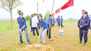 Đoàn viên, thanh niên tỉnh Quảng Trị trồng cây xanh tại thôn Nhật Lệ, xã Cam Thủy, huyện Cam Lộ. (Ảnh TRẦN TUYỀN)