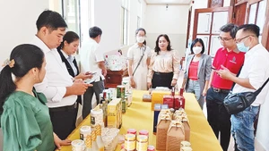 Đánh giá, xếp loại sản phẩm OCOP trên địa bàn tỉnh Tiền Giang.