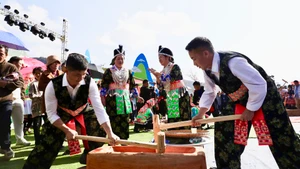 Đồng bào dân tộc H'Mông tỉnh Điện Biên thi giã bánh dày trong Ngày Tết truyền thống của dân tộc.
