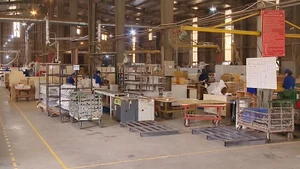 [Video] Doanh nghiệp xuất khẩu nỗ lực thích ứng trước biến động thuế quan
