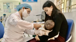 [Video] Hà Nội chủ động triển khai các biện pháp phòng, chống dịch bệnh mùa hè