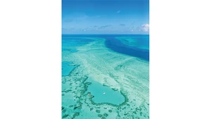 Ảnh: THE national geographic