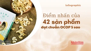 [Infographic] Điểm nhấn của 42 sản phẩm đạt chuẩn OCOP 5 sao