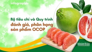[Infographic] Bộ tiêu chí và Quy trình đánh giá, phân hạng sản phẩm OCOP 