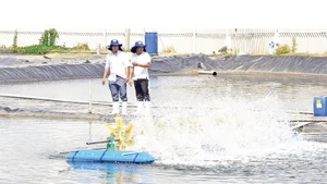Khu vực xử lý nước thải tại trang trại nuôi tôm của Công ty TNHH nuôi trồng thủy sản Tuấn Hiền.