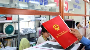 Ảnh minh họa. (Nguồn: Chinhphu.vn)