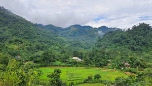 Thiên đường xanh giữa thung lũng hoang sơ