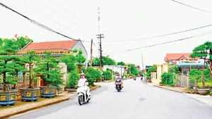 Một đường quê khang trang sạch đẹp tại Nam Điền, Nam Trực.