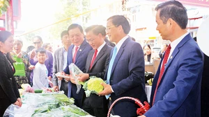 Các đại biểu tham quan gian hàng trưng bày sản phẩm rau an toàn tại hội nghị Xúc tiến đầu tư của Liên minh Hợp tác xã.