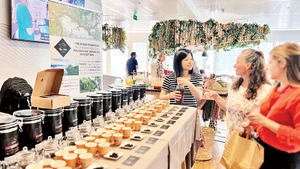 Huyền Montreau giới thiệu trà shan cổ thụ Việt Nam tại Pháp.