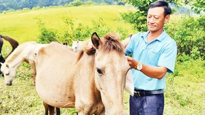 Anh Hồ Chử Vàng - nông dân điển hình làm kinh tế giỏi ở xã Phìn Hồ, huyện Nậm Pồ, tỉnh Điện Biên.