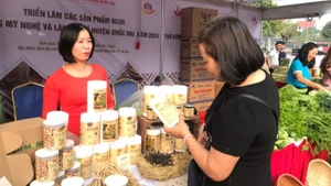 Quảng bá các sản phẩm OCOP, sản phẩm làng nghề thông qua các chương trình hội chợ, triển lãm, xúc tiến thương mại. 
