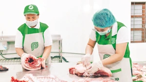 Sản xuất, chế biến thực phẩm từ thịt heo thảo mộc tại Peco Food. 