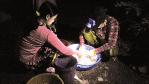 Lựa mua cá trong đêm tại "chợ ma".