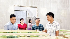 Trong nhà ươm tằm giống của Hợp tác xã Nông nghiệp 118, ở xã Hồng Trị, huyện Bảo Lạc, tỉnh Cao Bằng. 