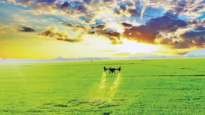  Ứng dụng máy bay không người lái (drone) để phun thuốc bảo vệ thực vật trong sản xuất lúa. (Ảnh: Hà An)