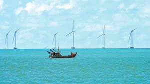 Cà Mau có nhiều tiềm năng, lợi thế phát triển kinh tế với tầm nhìn dài hơi về phía biển.