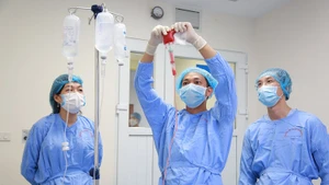 Các bác sĩ Bệnh viện Huyết học-Truyền máu Trung ương thực hiện truyền tế bào gốc cho người bệnh. 