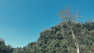 Với vẻ đẹp hoang sơ, Hang Táu được dân phượt đặt cho biệt danh "Làng nguyên thủy".