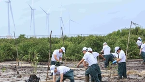 Hoạt động trồng cây được thực hiện tại rừng phòng hộ ven biển tỉnh Sóc Trăng. Nguồn: Ban tổ chức