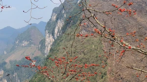 Sự lãng quên một nơi nào đó, đôi khi, lại là ân sủng dành cho dân mê xê dịch.