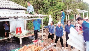 Đoàn viên, thanh niên Cà Mau hỗ trợ ngày công giúp chủ hộ tiết kiệm chi phí xây dựng nhà mới.
